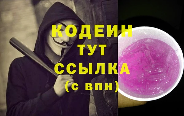 скорость Елизово