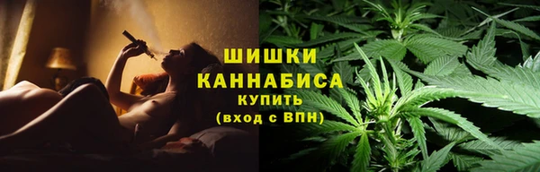 меф Ельня