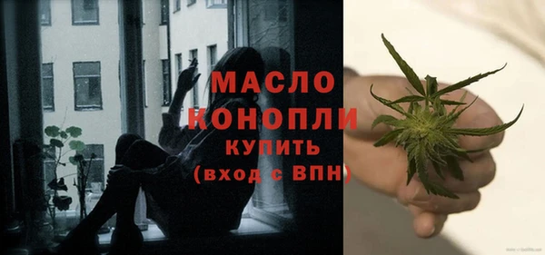 меф Ельня