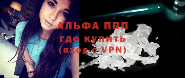 меф Ельня