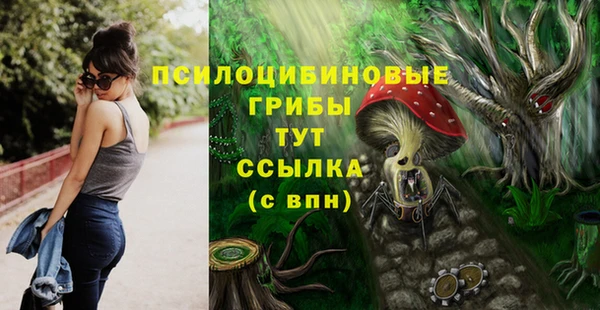 скорость Елизово