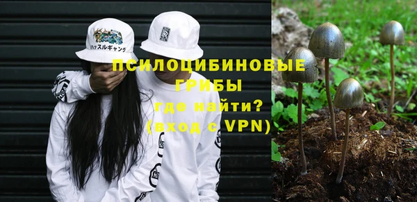 меф Ельня
