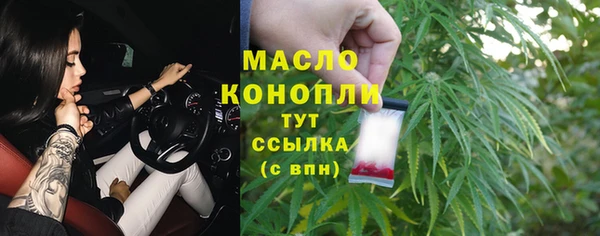меф Ельня